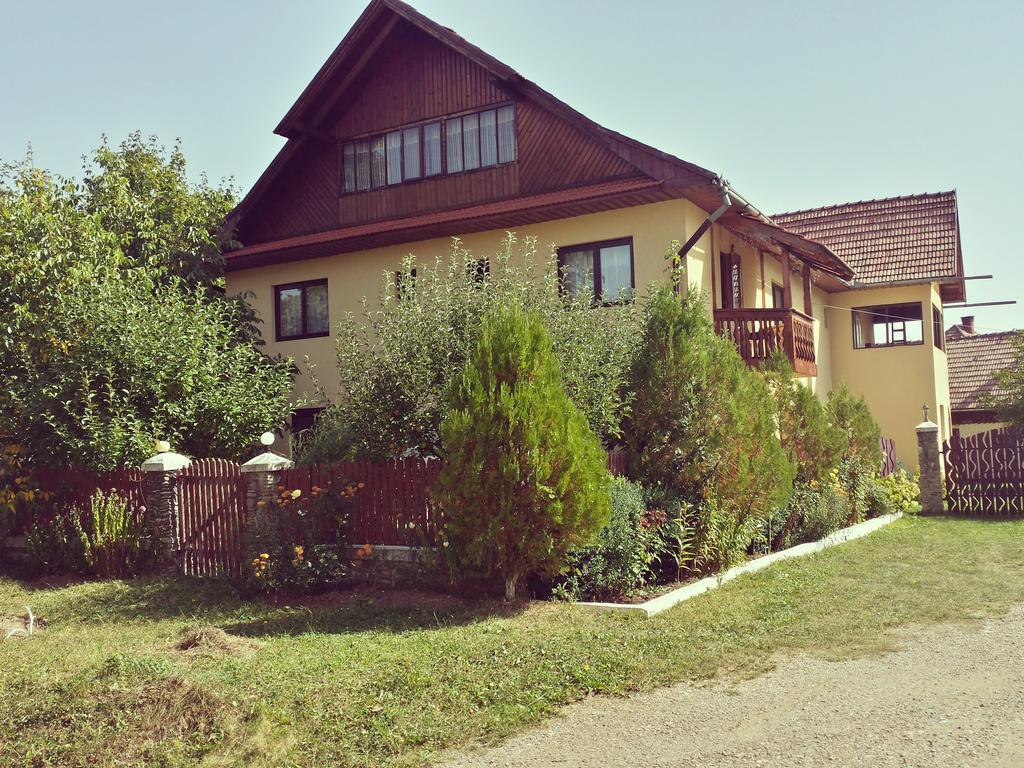 Pensiunea La Muncel Sadova  Exterior photo