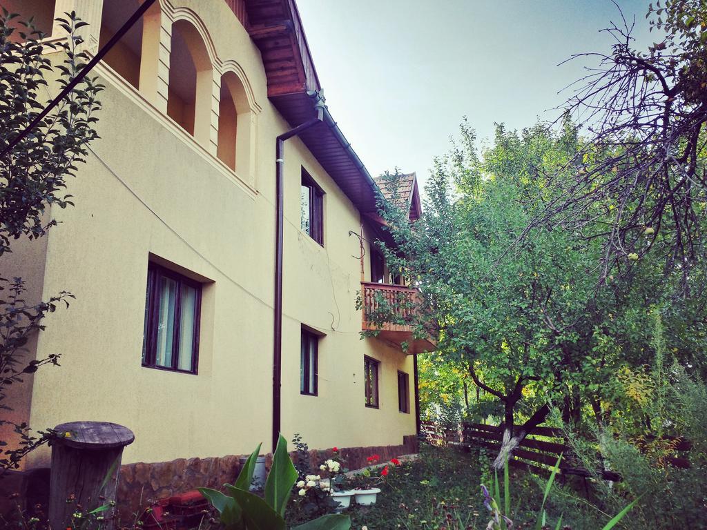 Pensiunea La Muncel Sadova  Exterior photo